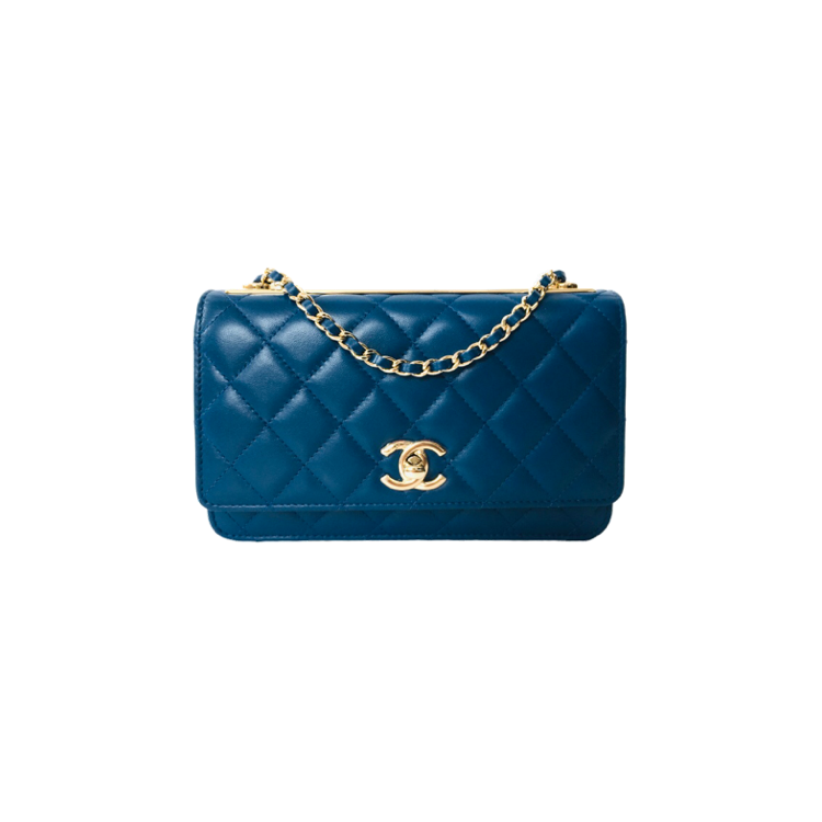 Rent Buy CHANEL Python Double Flap Bag Gold Hardware